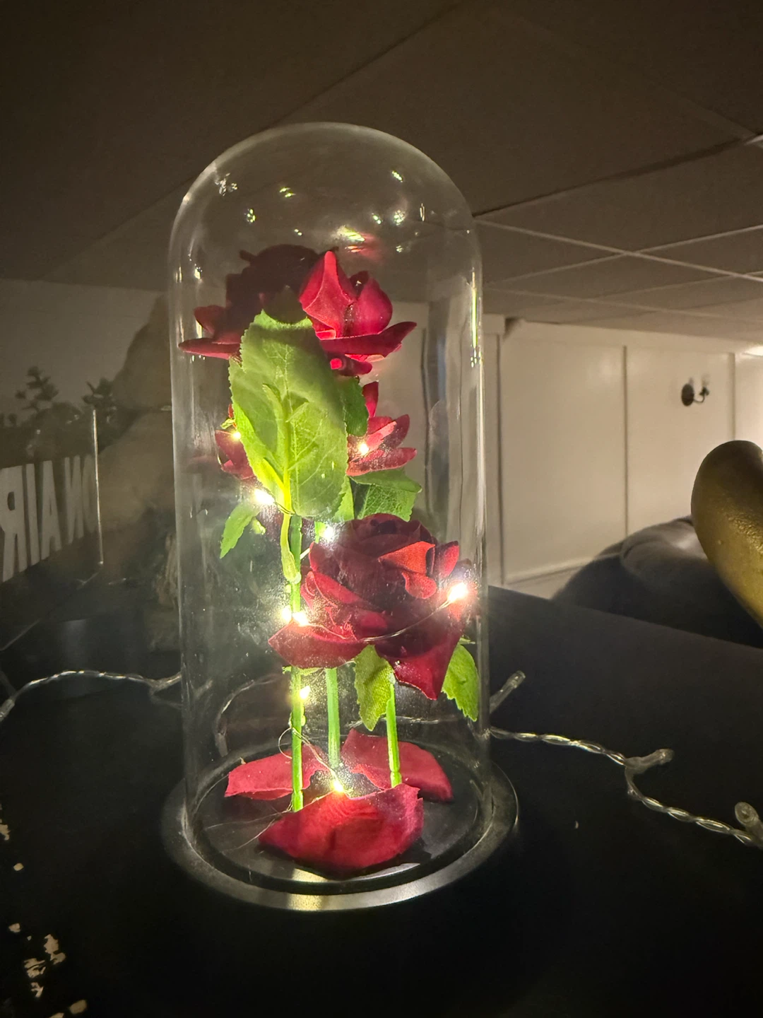 ght Up Red Rose in Glass Dome Gift Boxall):  - Brand New - photo 2