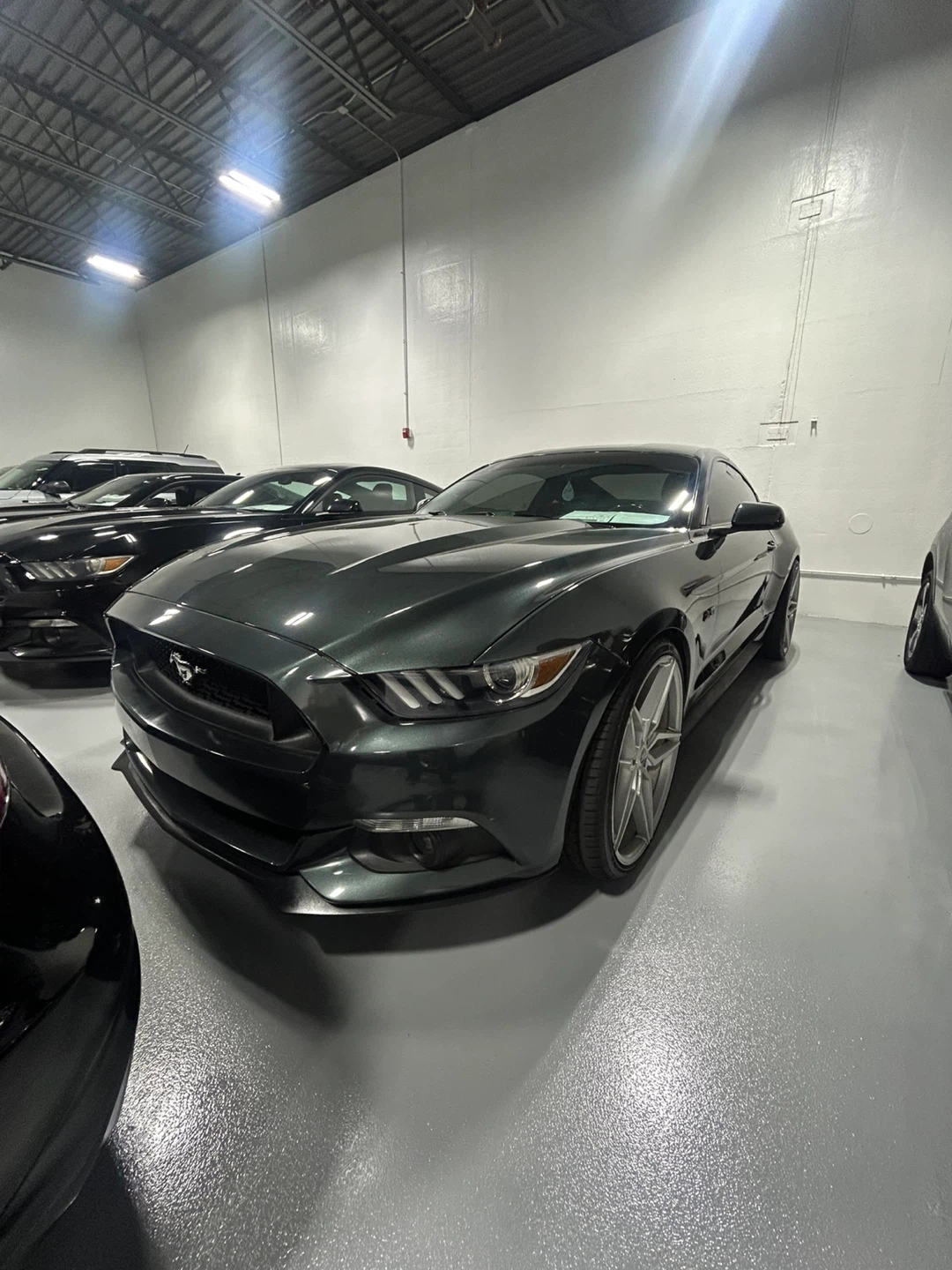 2016 Ford Mustang Dark green Coupe