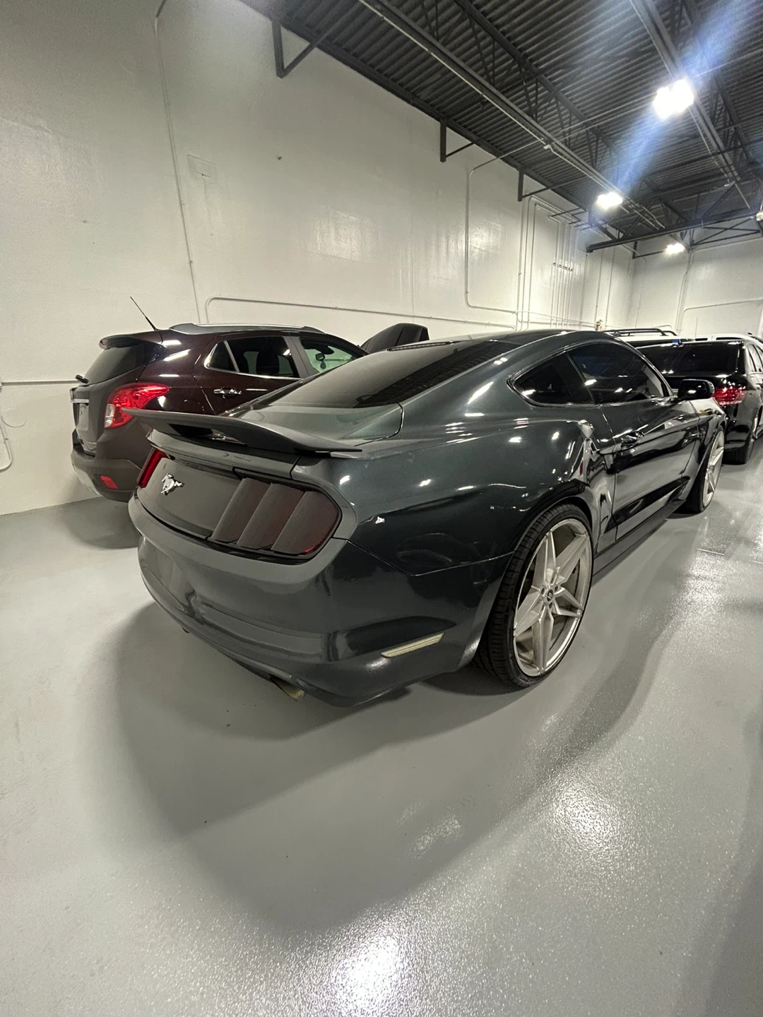 2016 Ford Mustang Dark green Coupe - photo 3