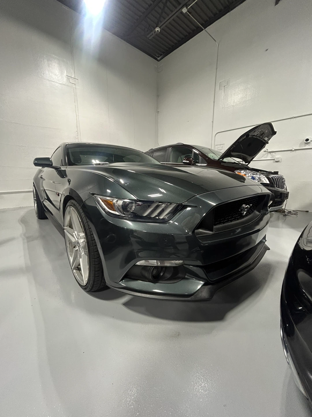2016 Ford Mustang Dark green Coupe - photo 4