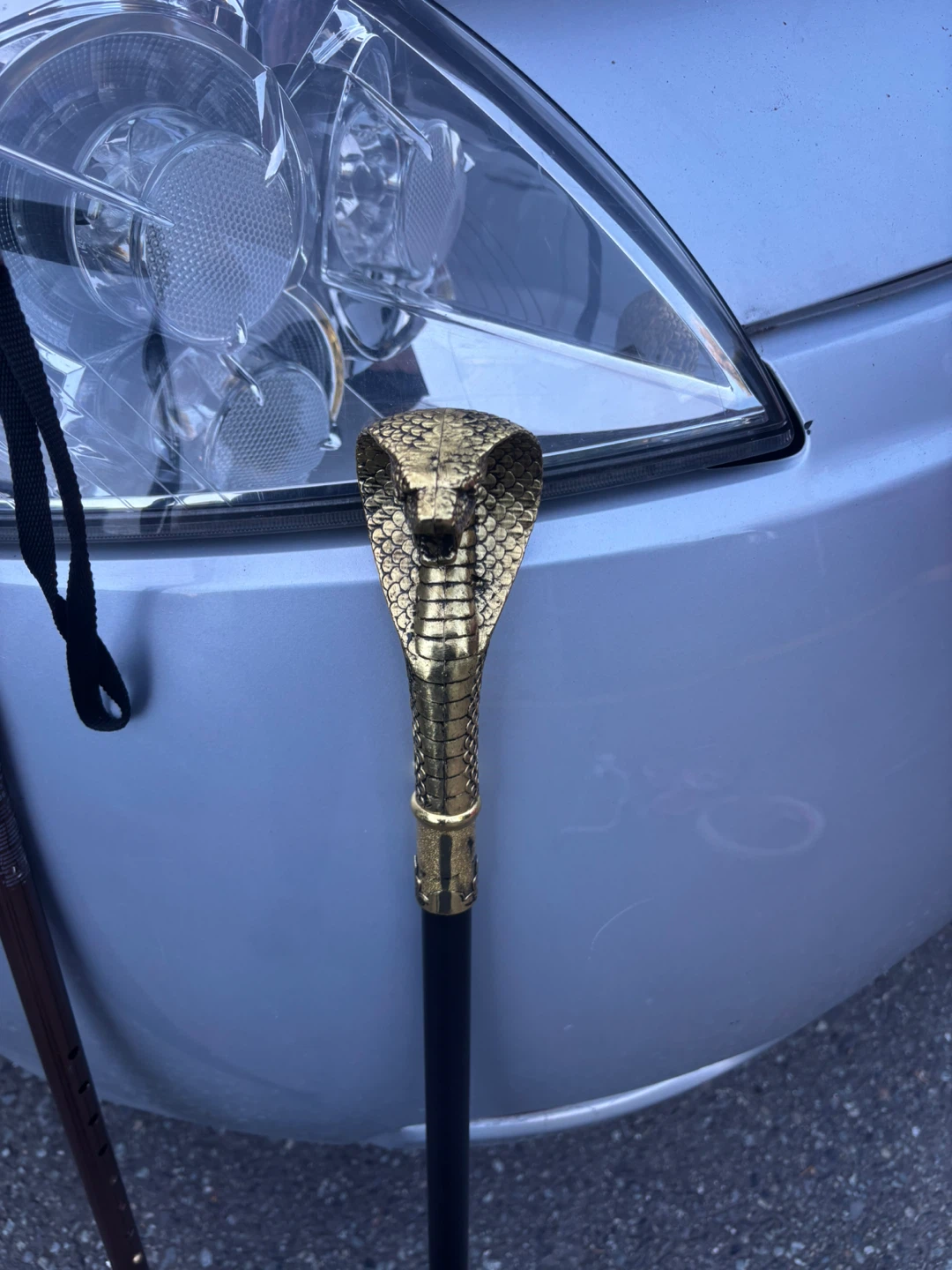 Auxiliary stick 20 dollars each - photo 3