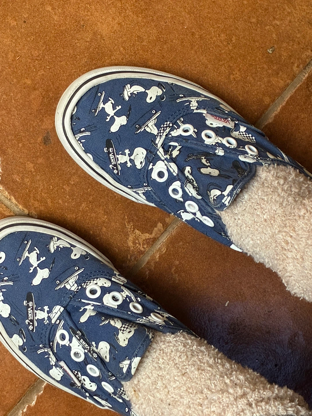 Vans x Peanuts Snoopy Blue Canvas Shoes $100