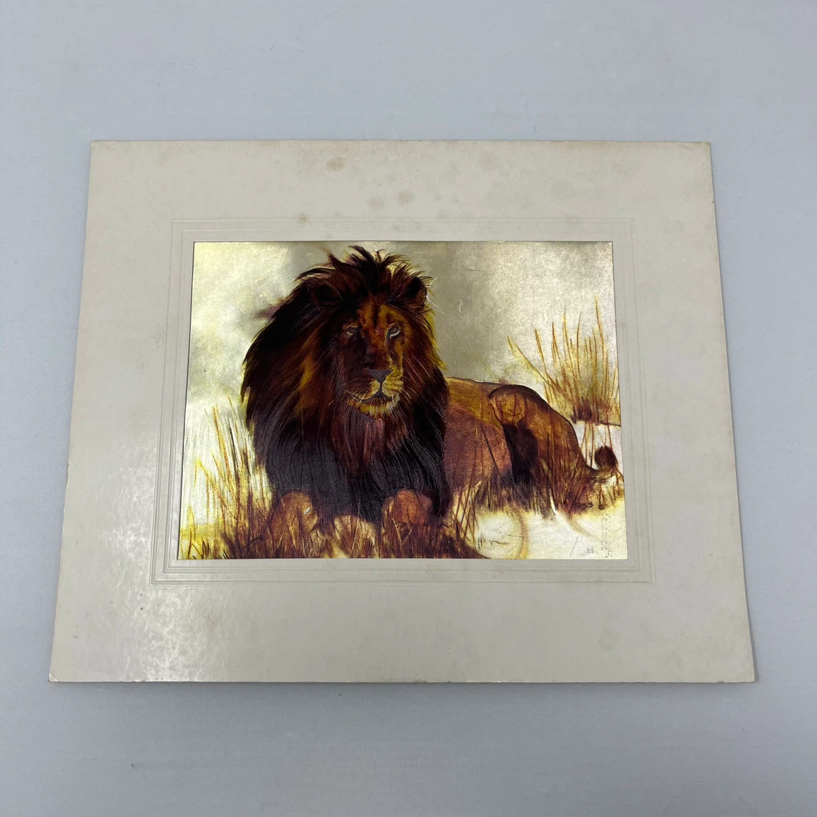 Lion Artwork Print