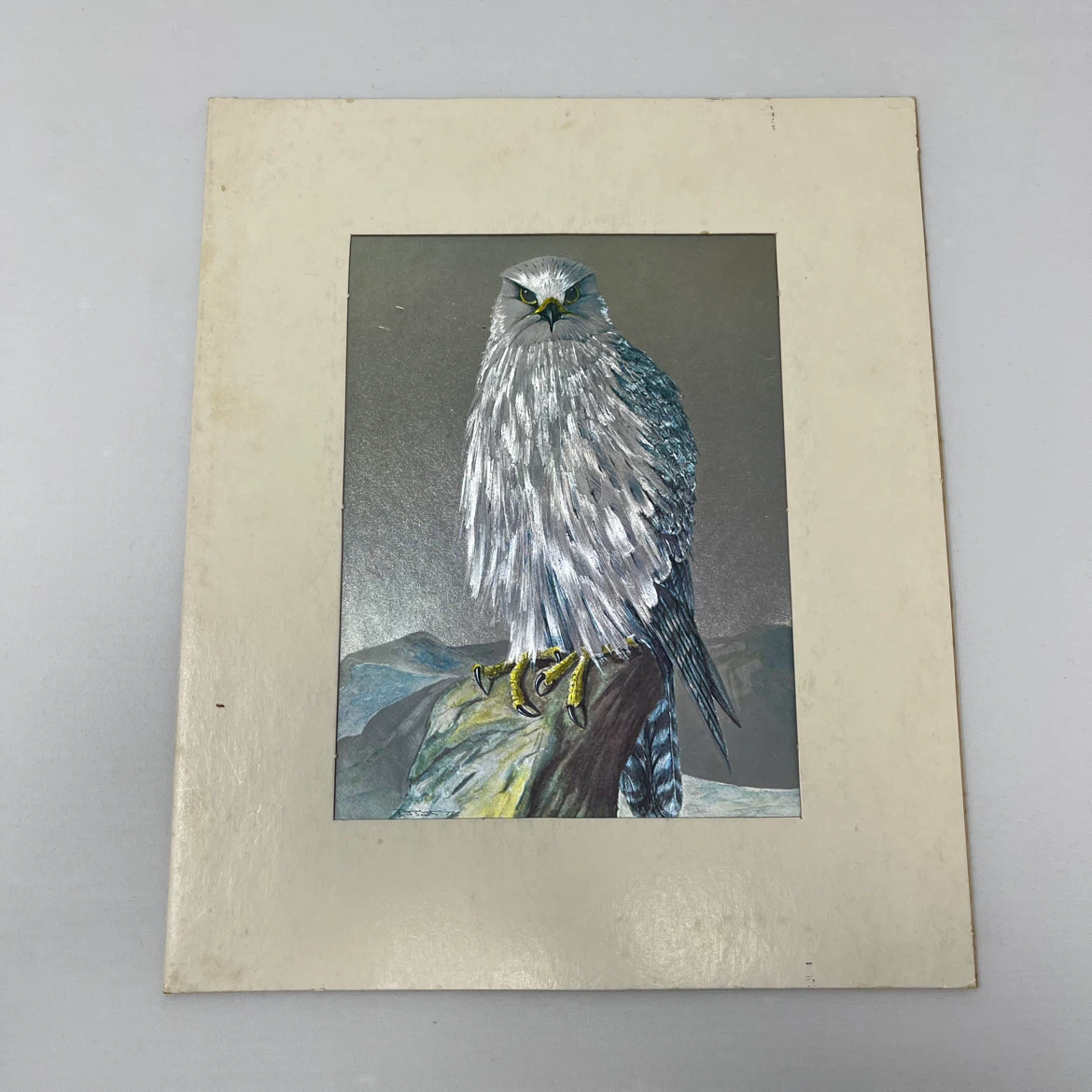 Vintage Bird of Prey Art Print