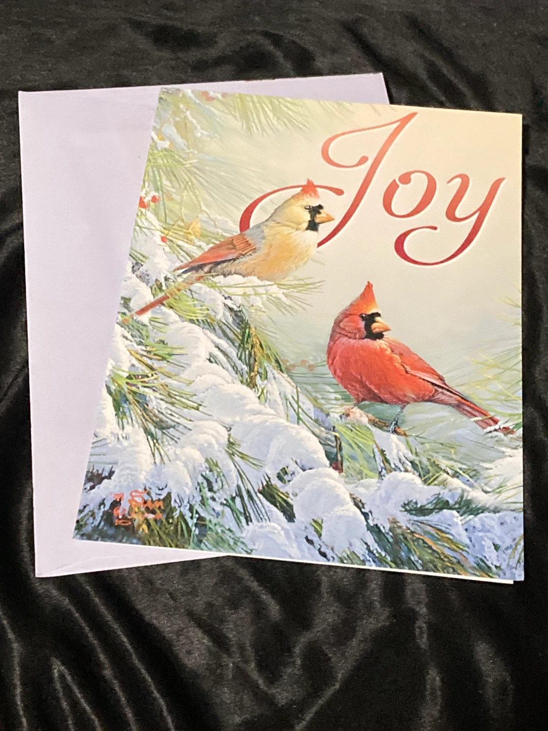 Cardinal Joy Christmas Card