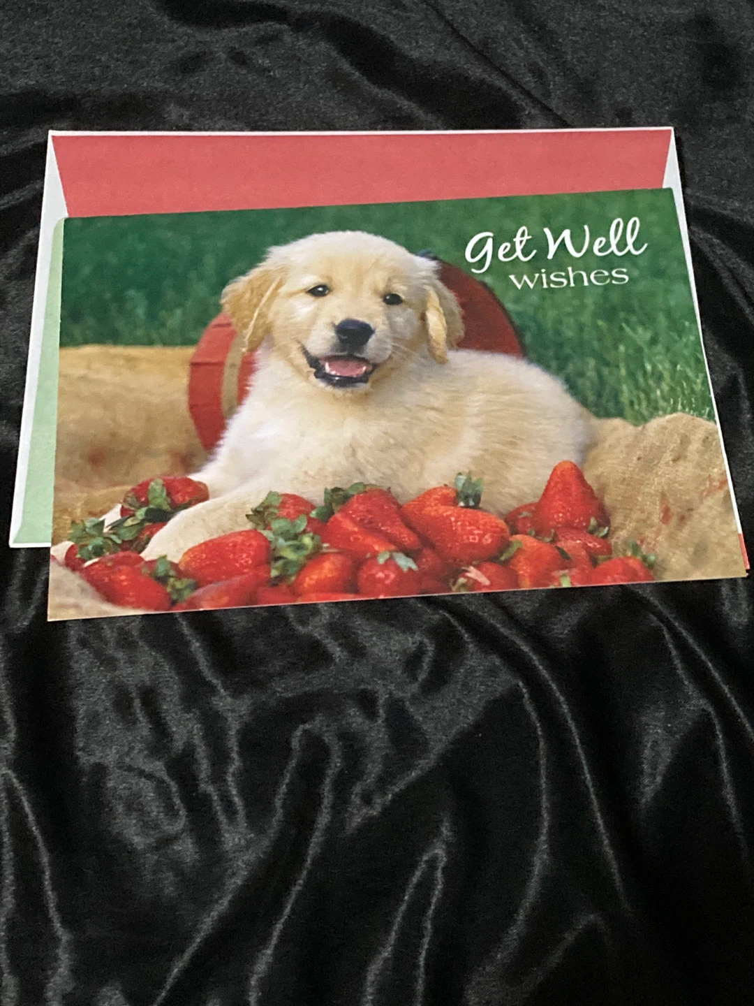 Get Well Wishes Greeting Card with Golden Retriever