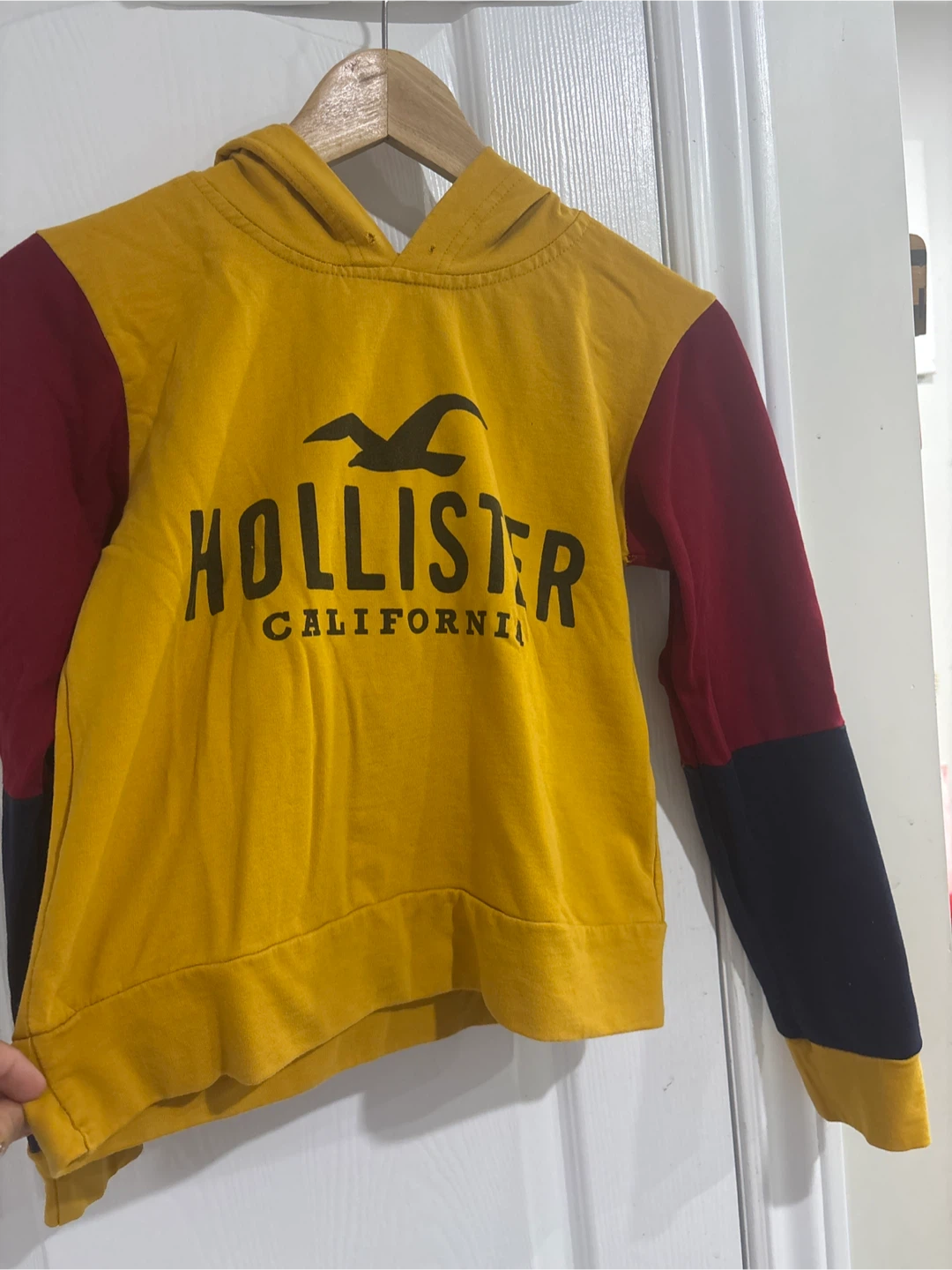 Hollister colour block hoodie