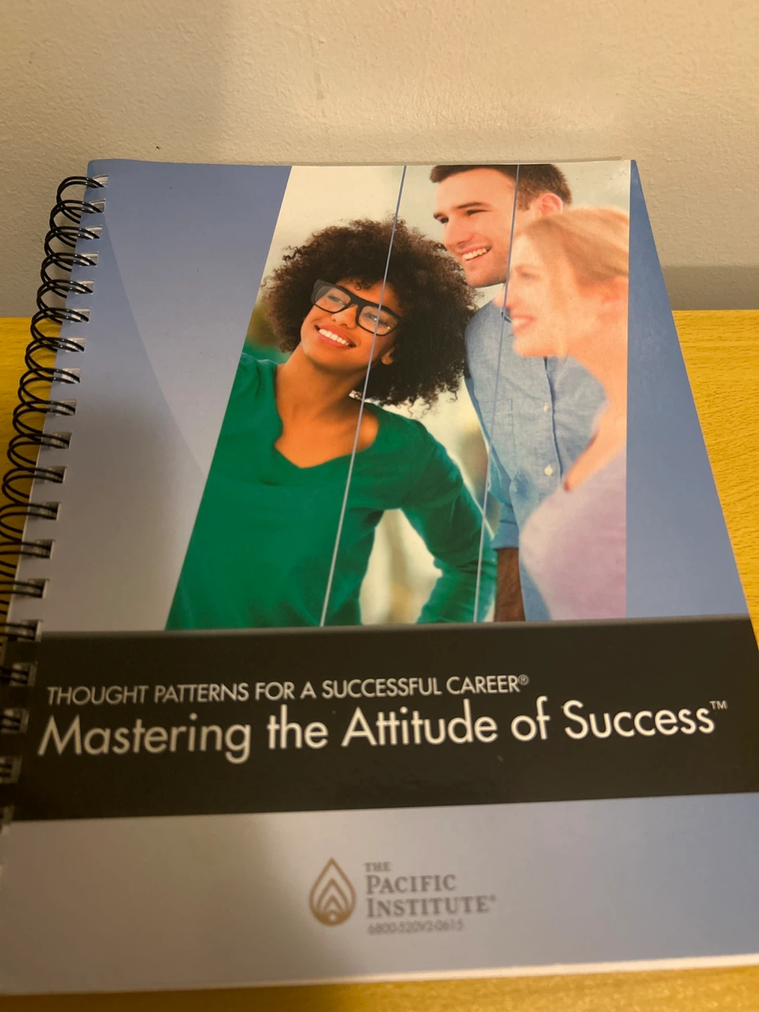 Mastering the Attitude of Success Book