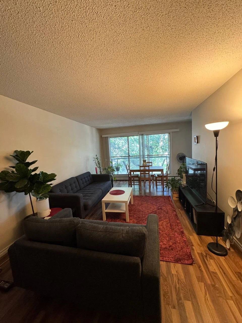 Lease one bedroom- white ave-$1.200