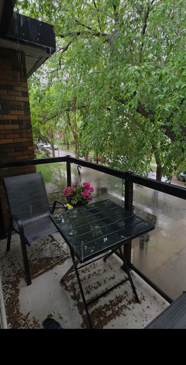 Lease one bedroom- white ave-$1.200 - photo 5