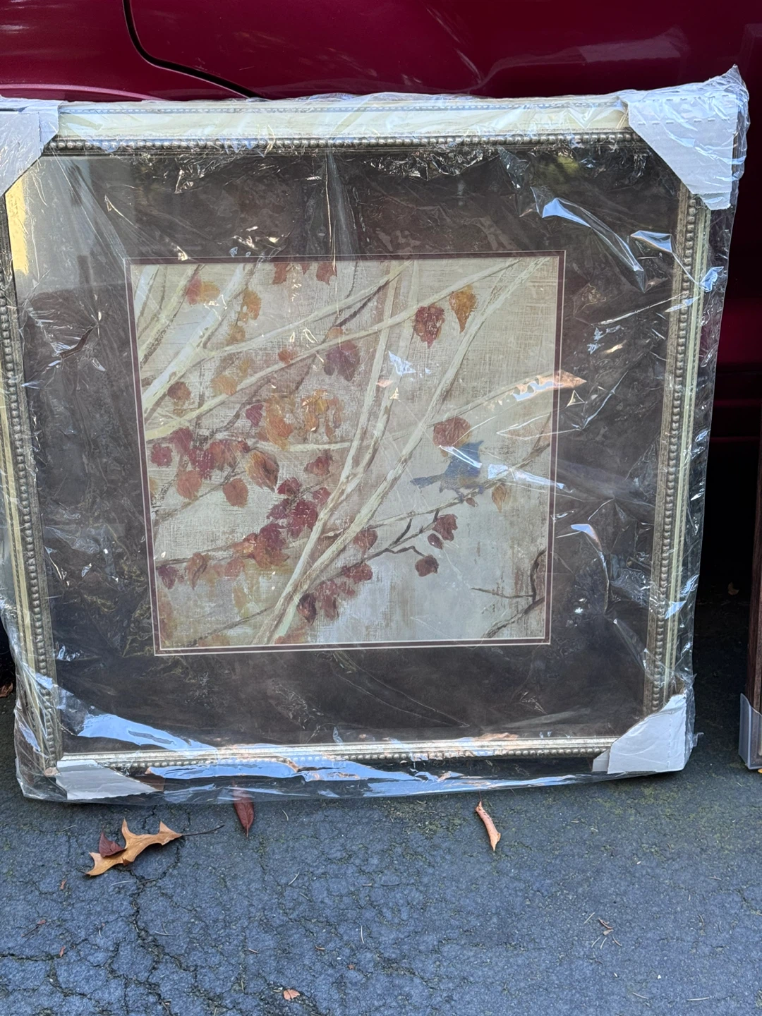 Framed Autumn Leaf Wall Art