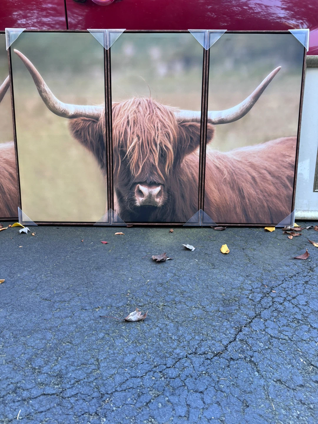 Highland Cow 3-Piece Canvas Wall Art