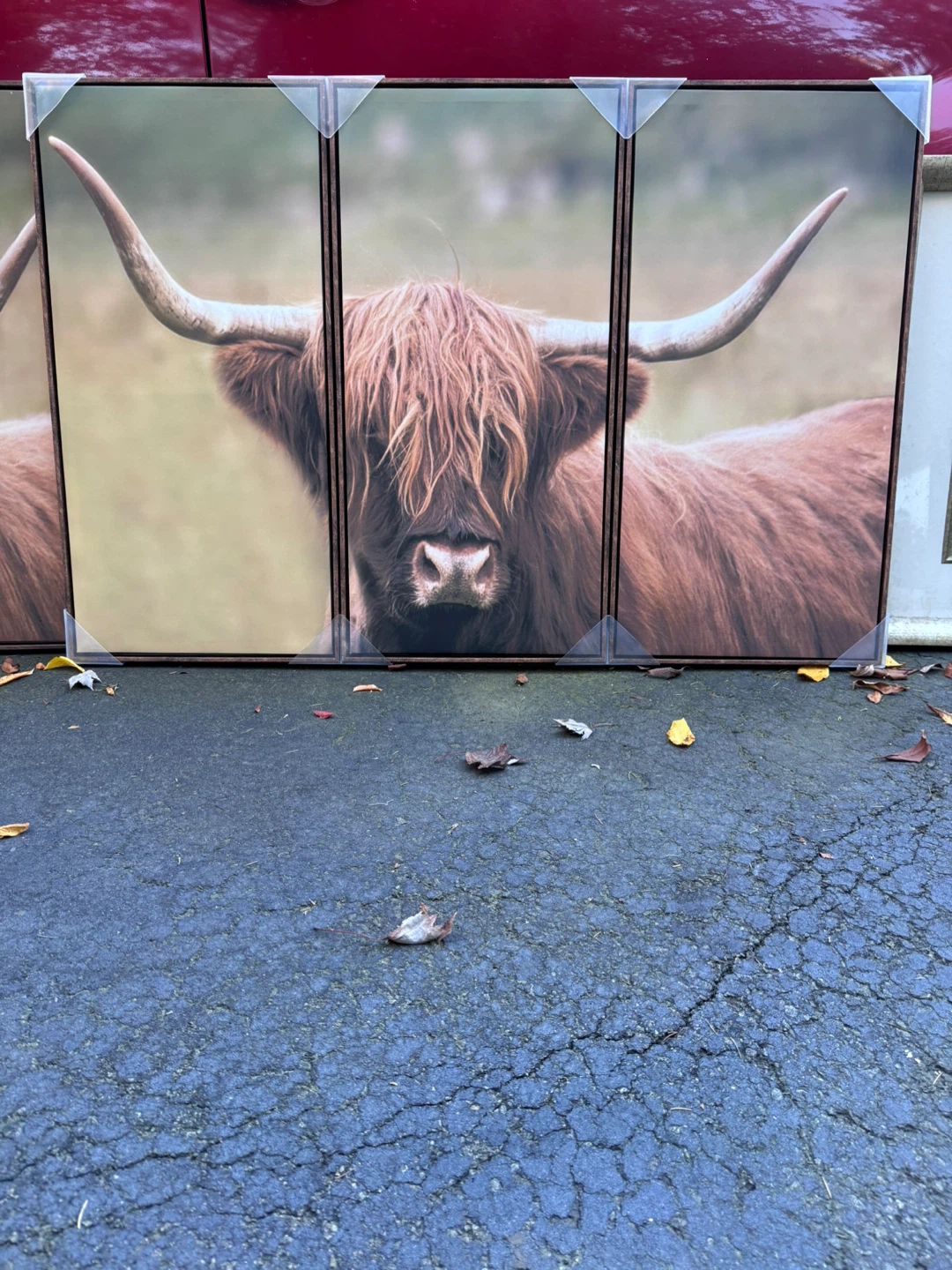 Highland Cow 3-Piece Canvas Wall Art - photo 2