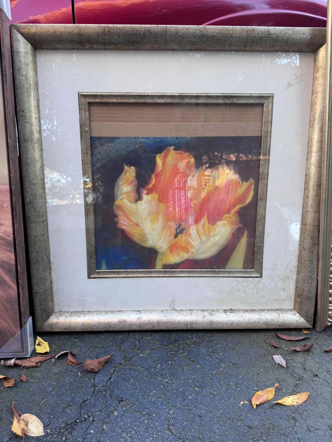 Framed Tulip Wall Art