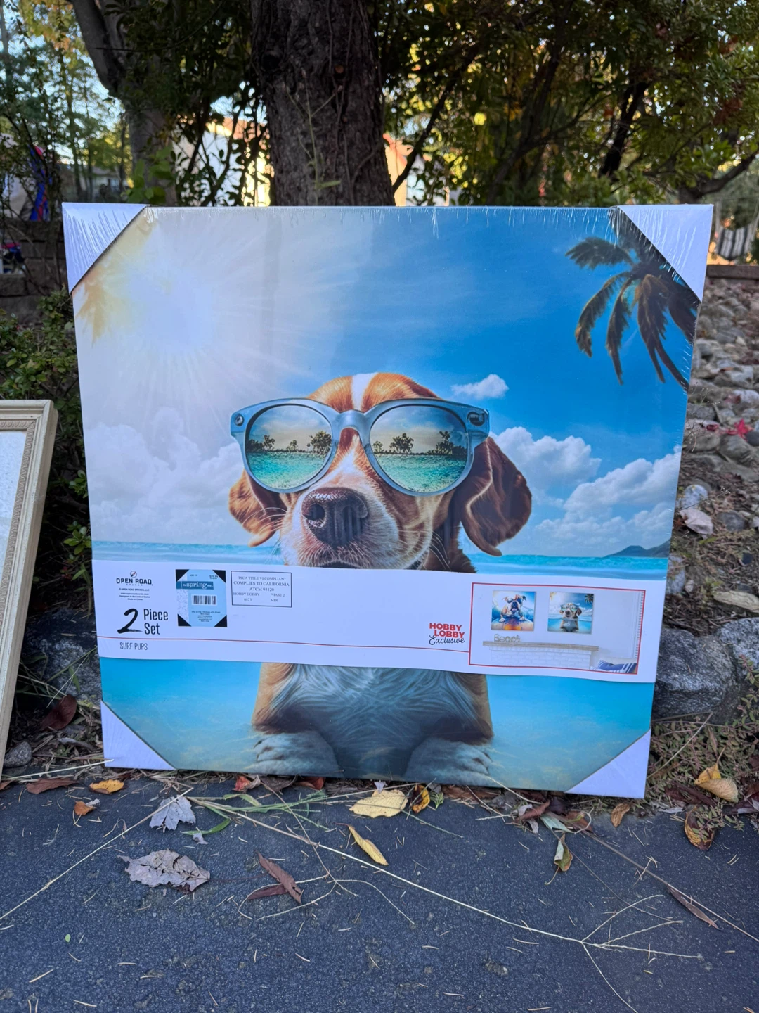 Hobby Lobby Surf Pups 2-Piece Canvas Art Set