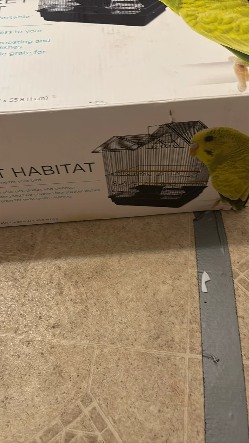 You & Me Parakeet Habitat - photo 2