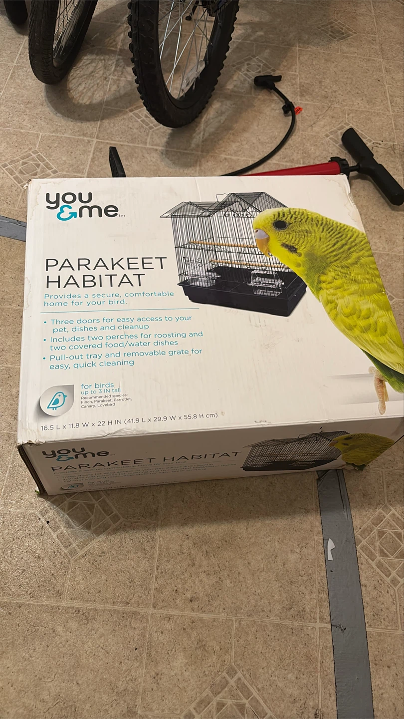 You & Me Parakeet Habitat - photo 3