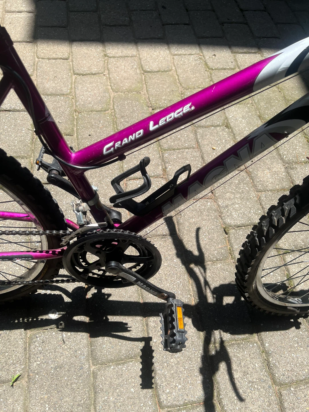 Magna Grand Ledge Mountain Bike