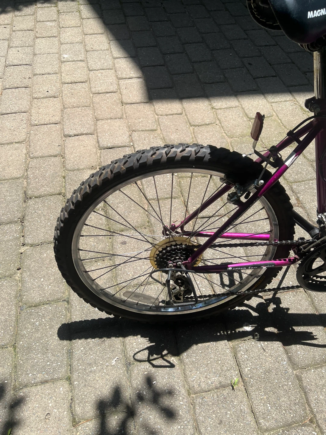 Magna Grand Ledge Mountain Bike - photo 2