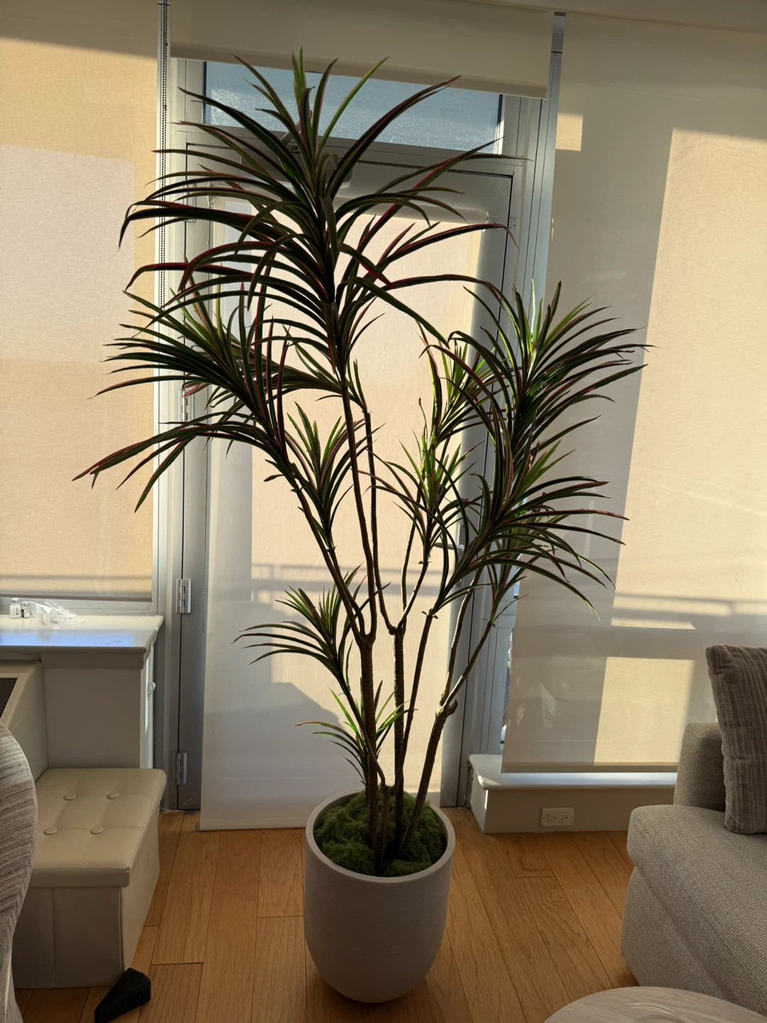 Large Artificial Dracaena Plant