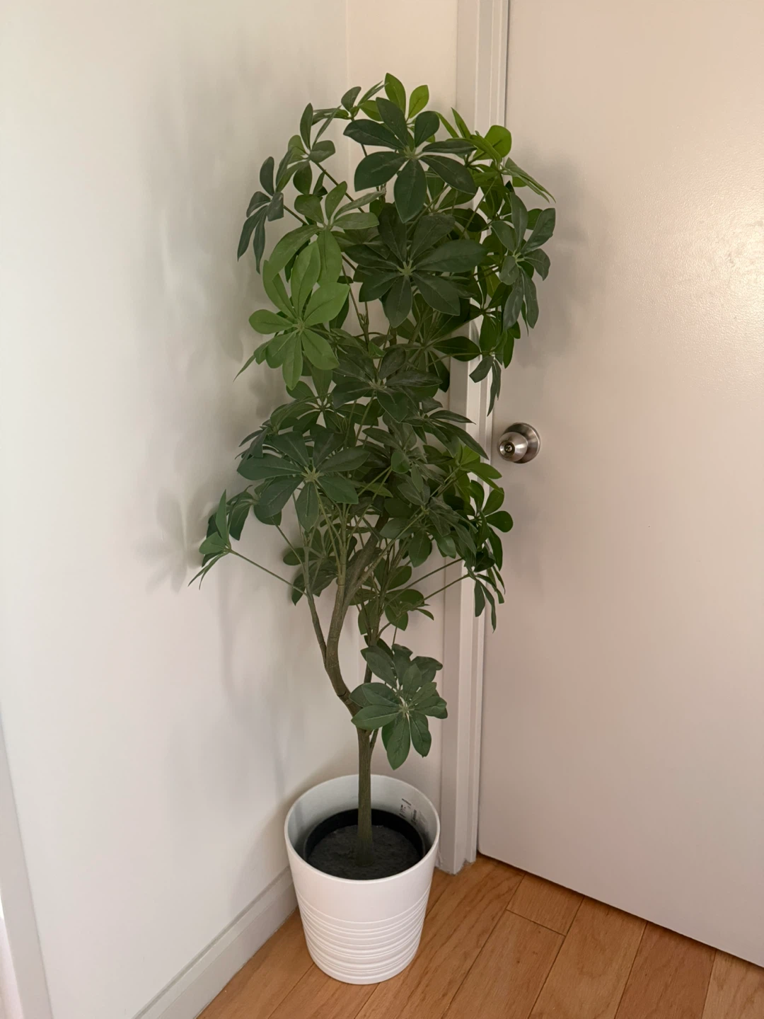 Artificial Umbrella Plant