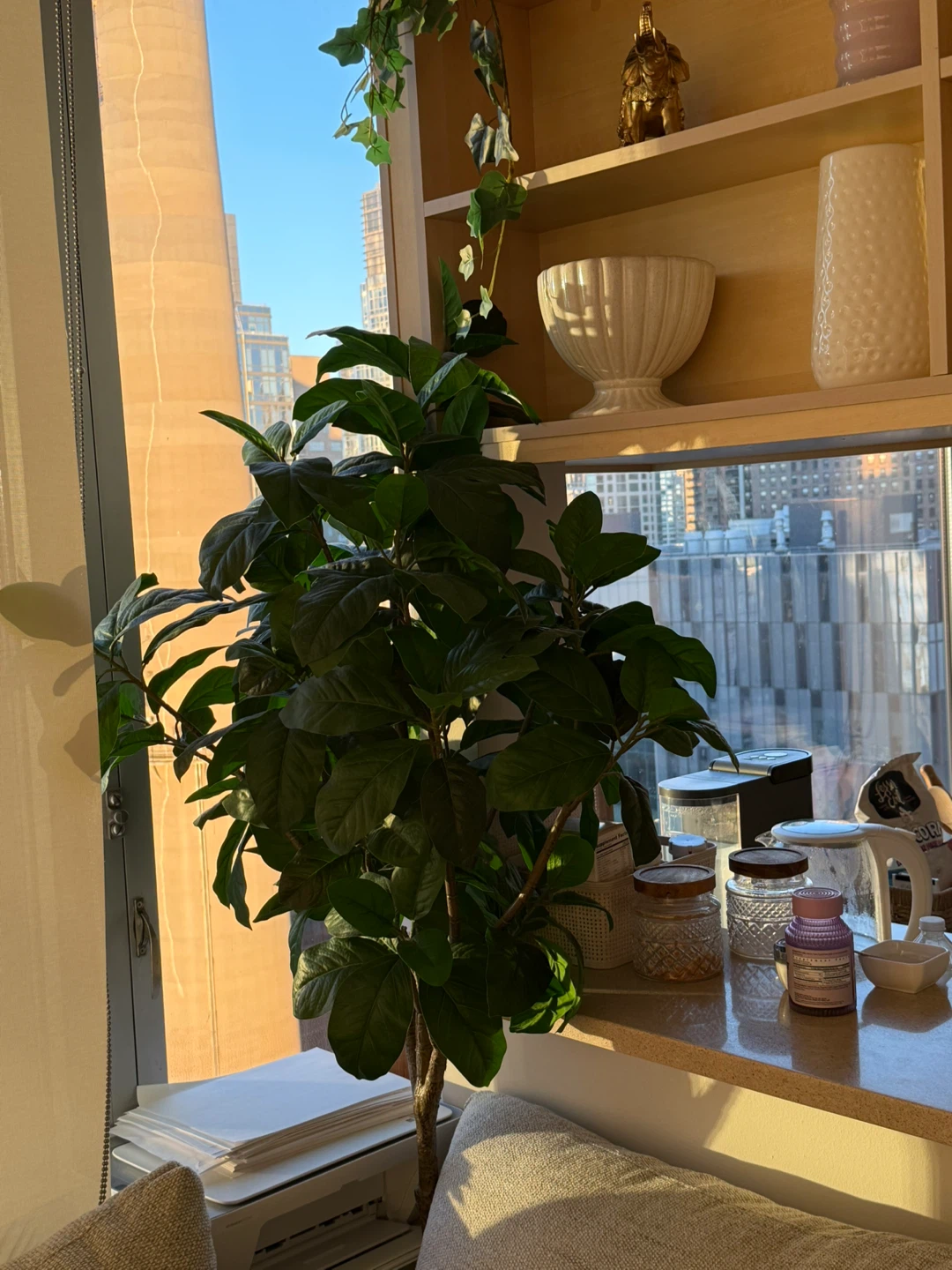 Artificial Ficus Tree