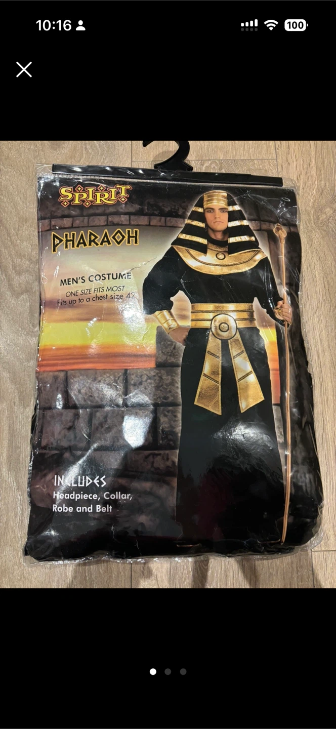 Spirit Halloween Pharaoh and Cleopatra Costumes - photo 2