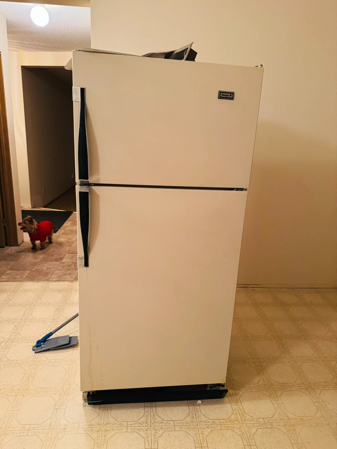 Norge Top-Freezer Refrigerator