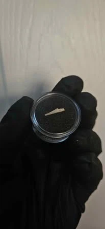 Real T-rex bone fragment - photo 3