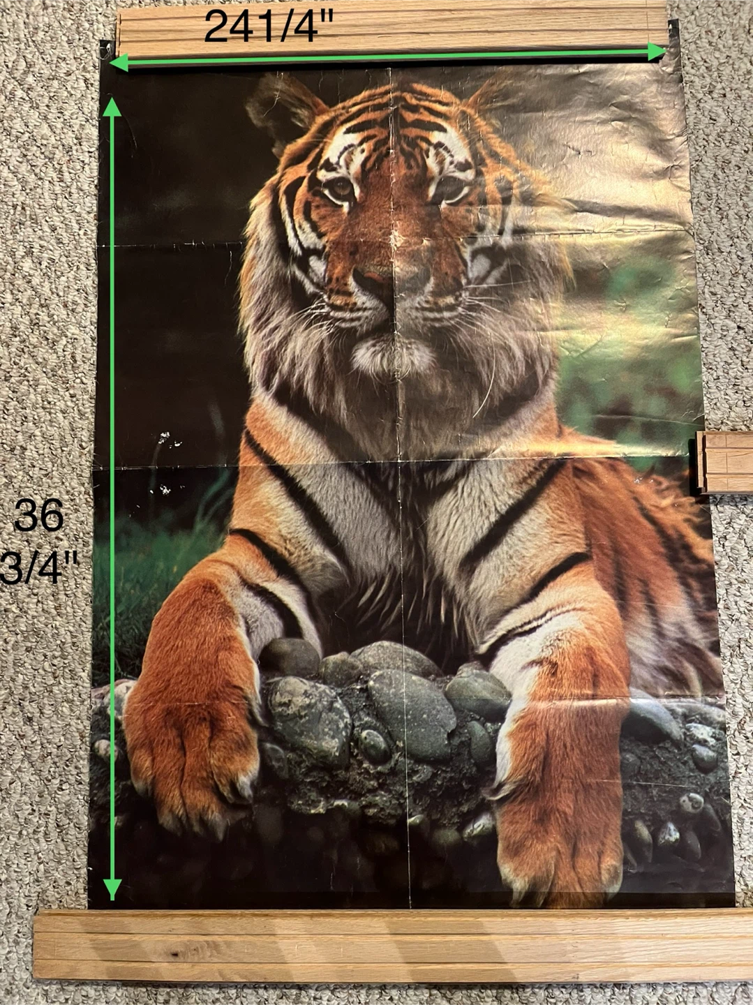 Posters