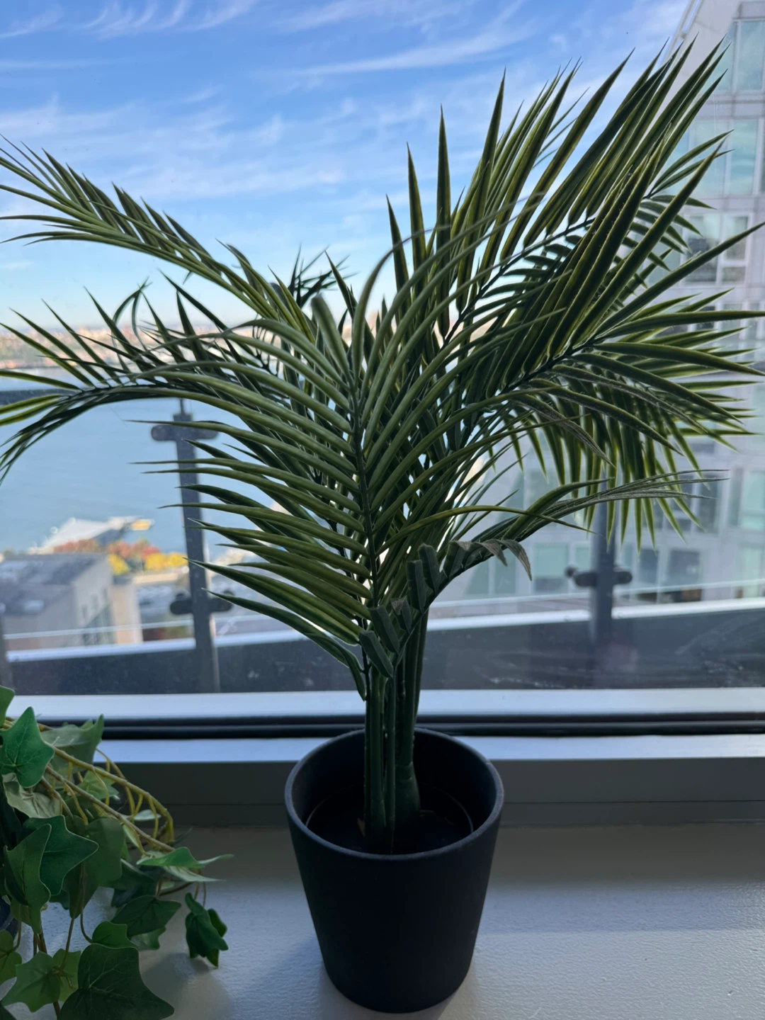 3 pieces of Artificial Palm Plant in Pot. $10 each