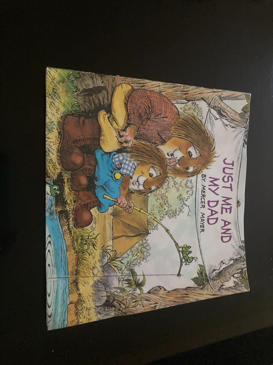 Just Me and My Dad by Mercer Mayer