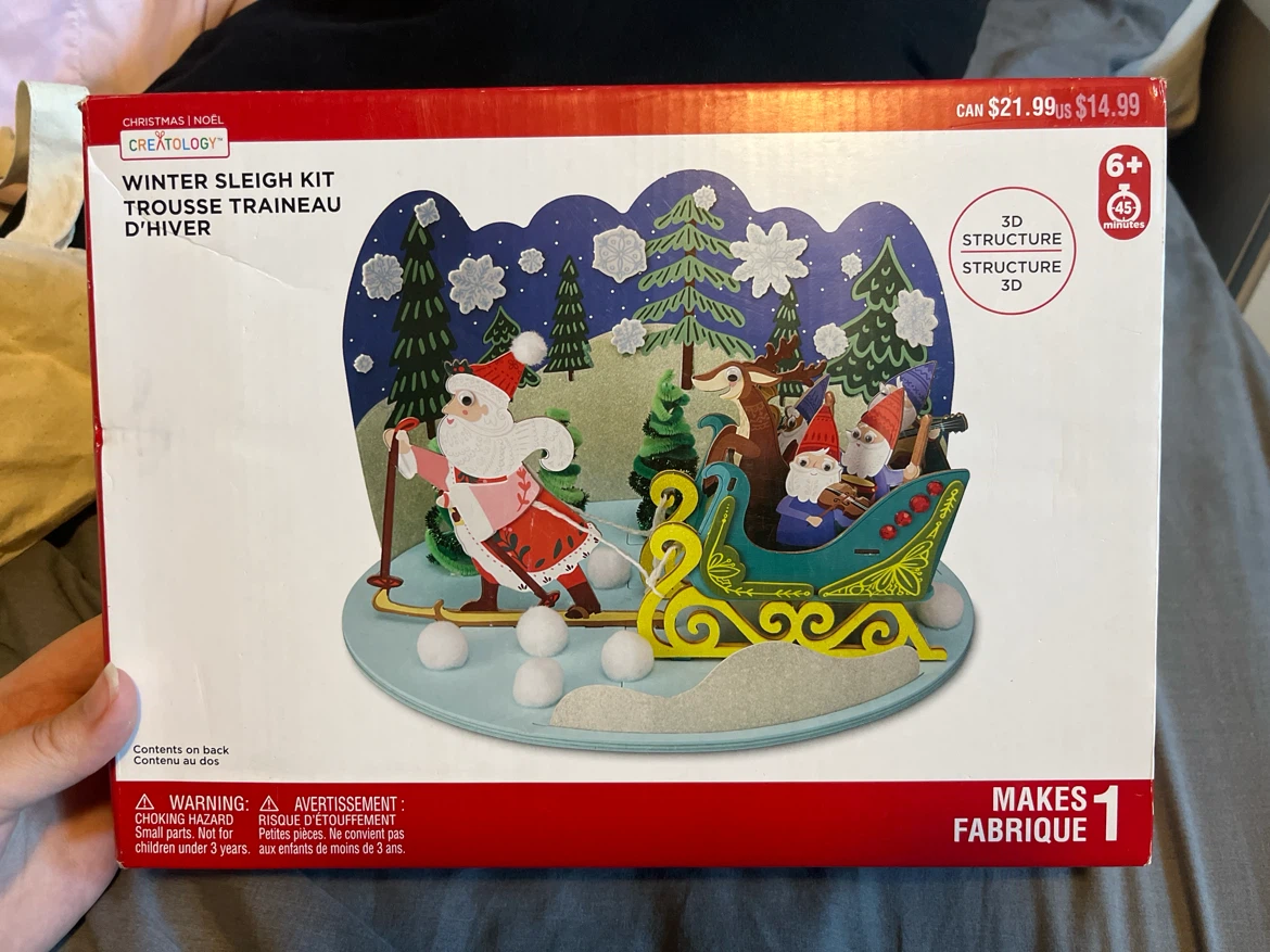 Creatology Winter Sleigh 3D Craft Kit