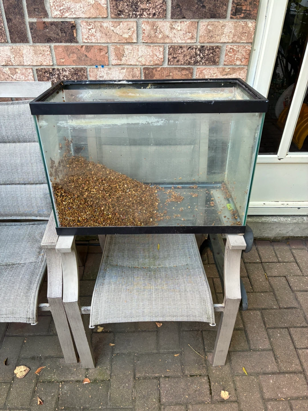 20-Gallon Glass Aquarium with Black Trim