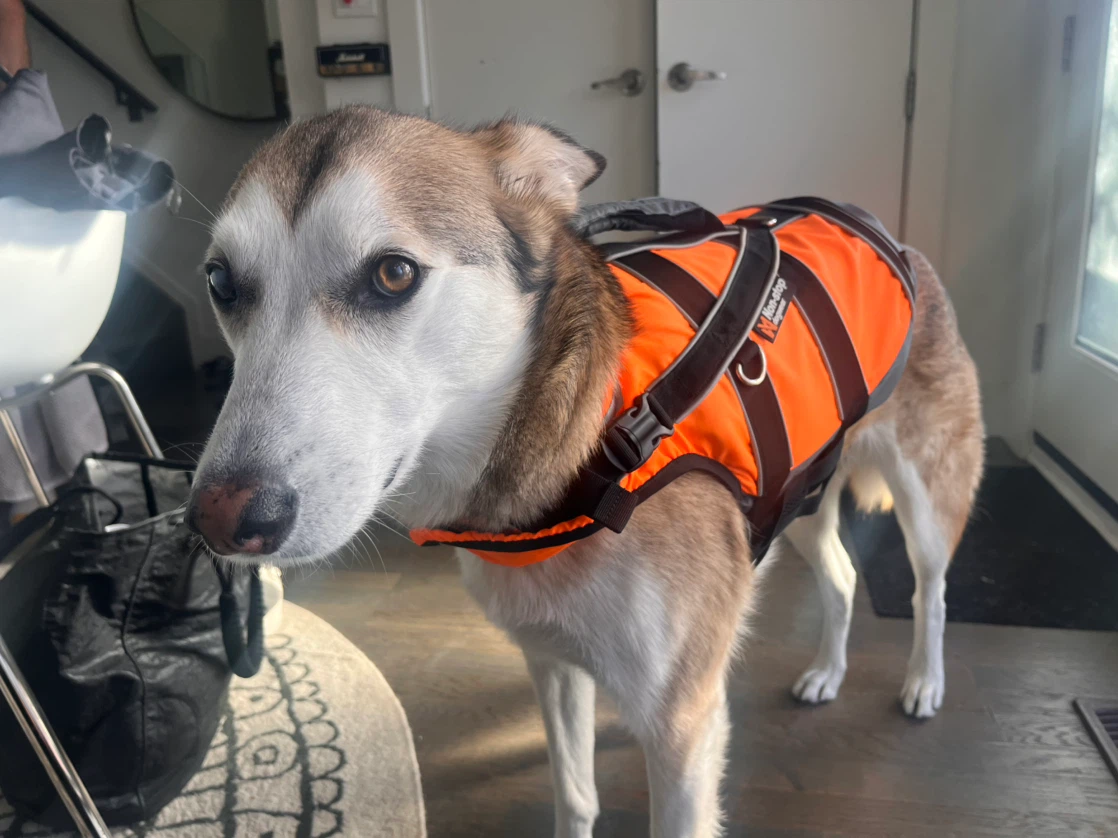 Non-stop dogwear Safe Life Vest - photo 3