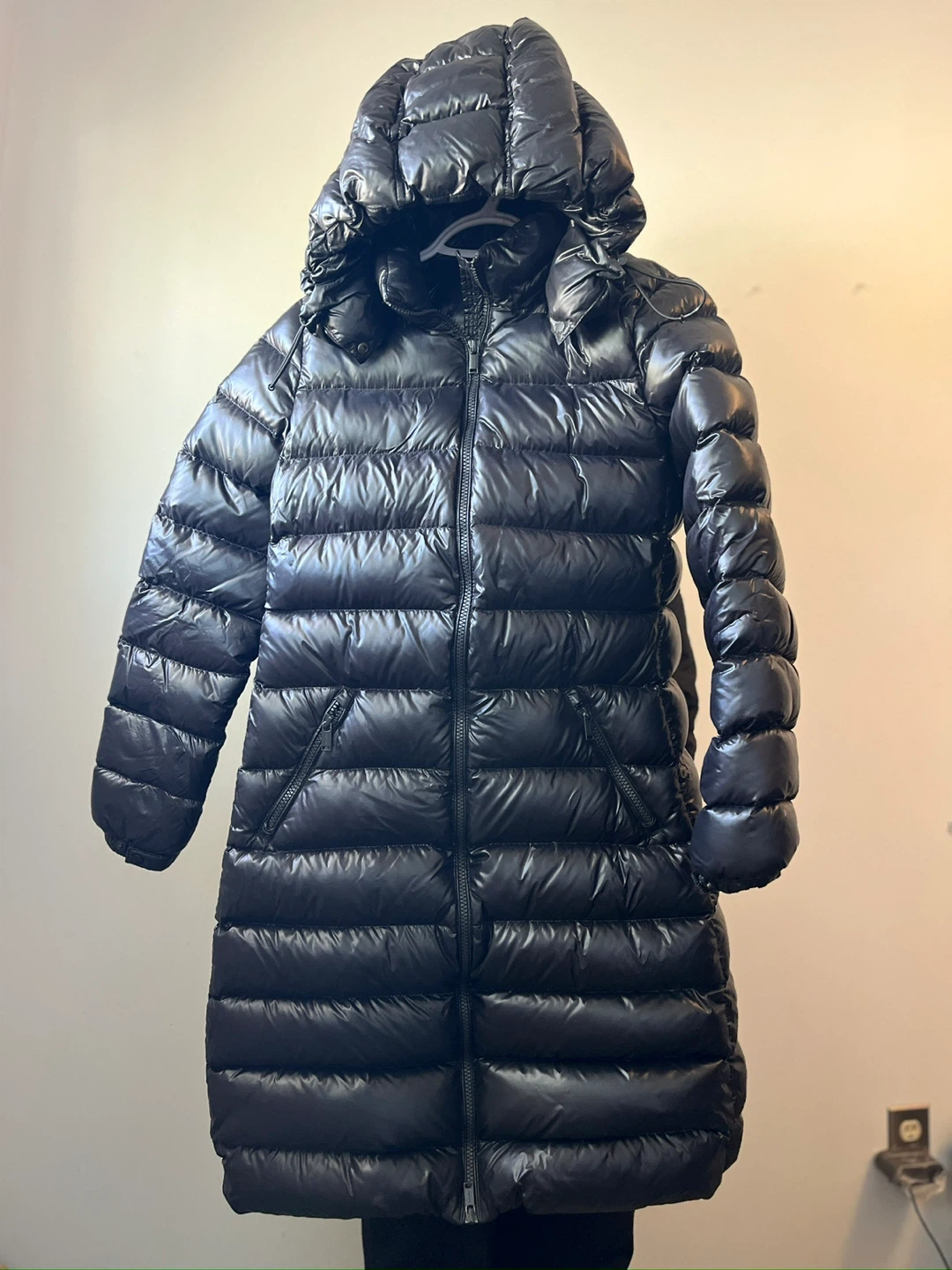 Babaton Hudson Goose Down Puffer Coat