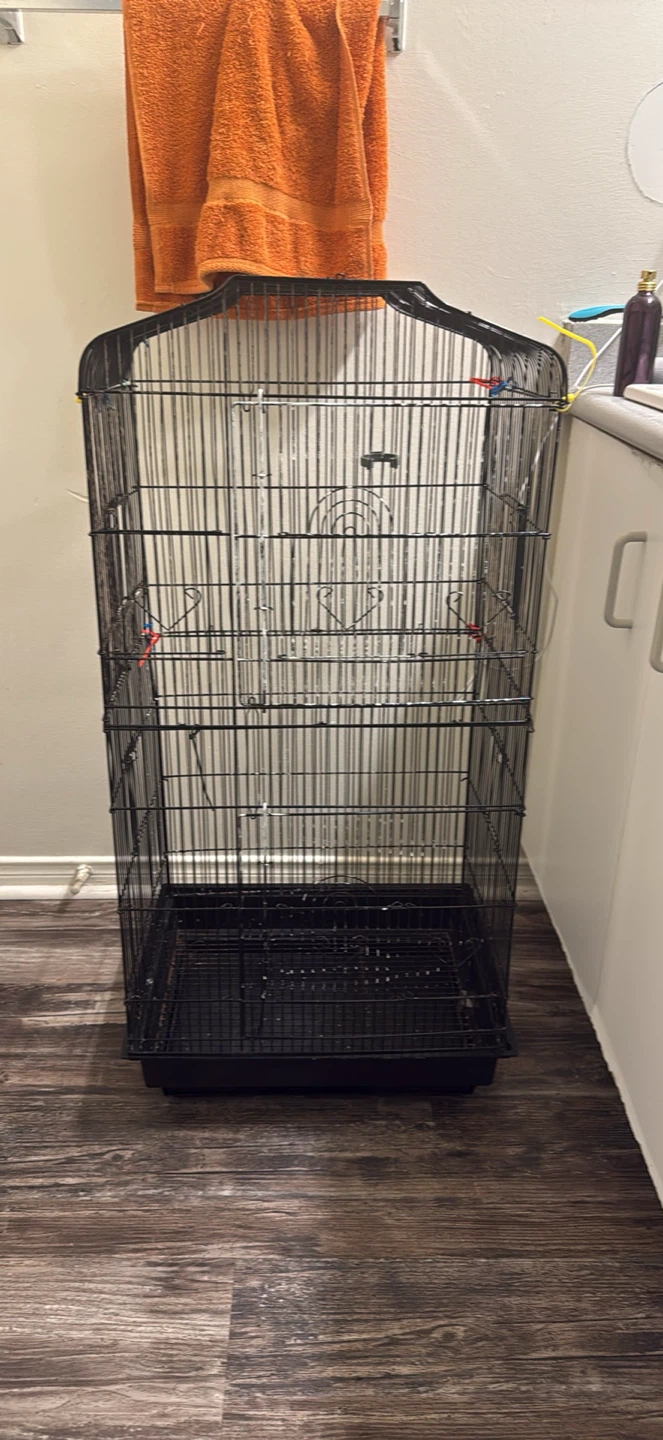 Bird Cage