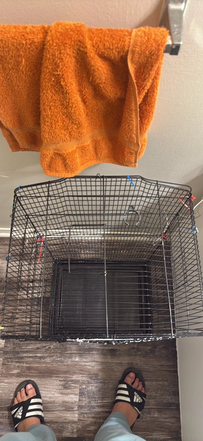 Bird Cage - photo 2