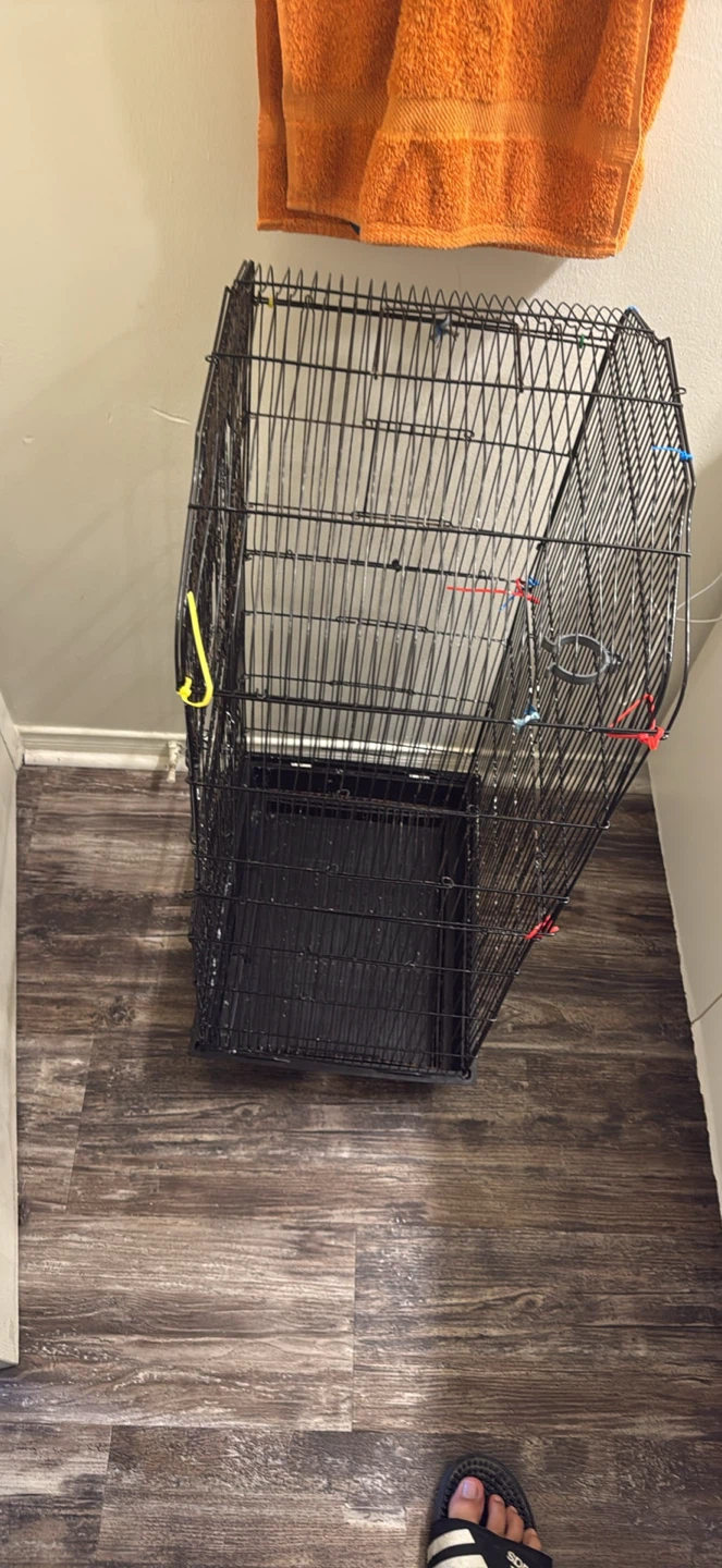 Bird Cage - photo 3