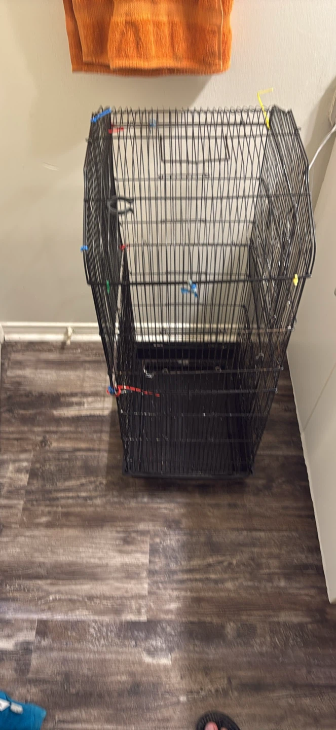 Bird Cage - photo 5