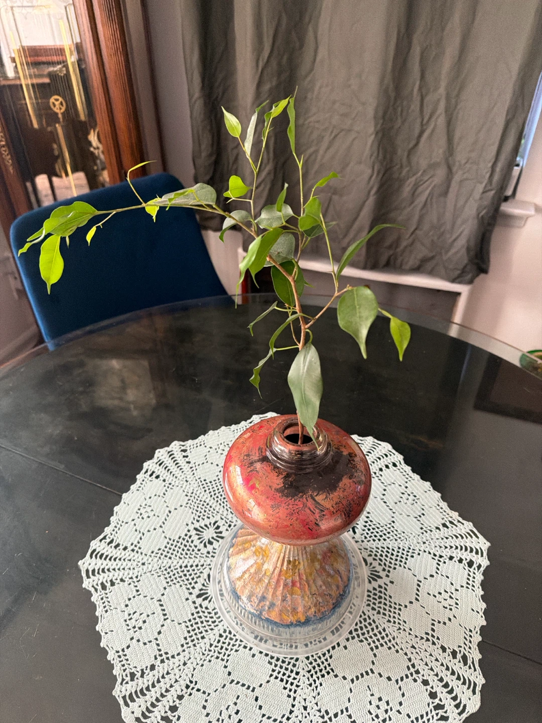 Old kerosene lamp turned into plant pot with Benjamin ficus