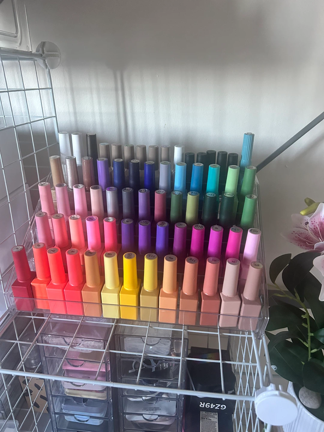 Large Collection of Guibofu Color Gel Polish