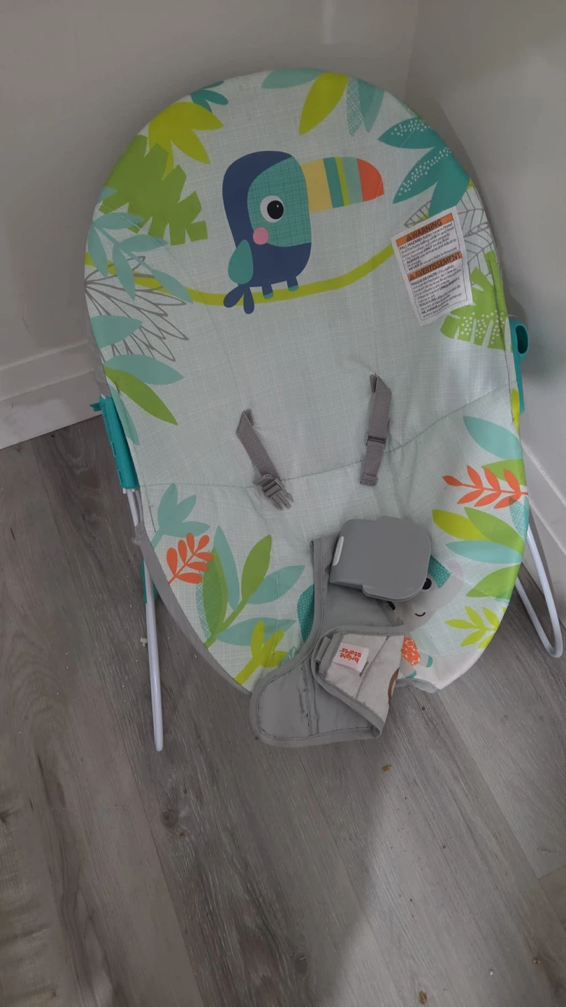 Bright Starts Baby Bouncer