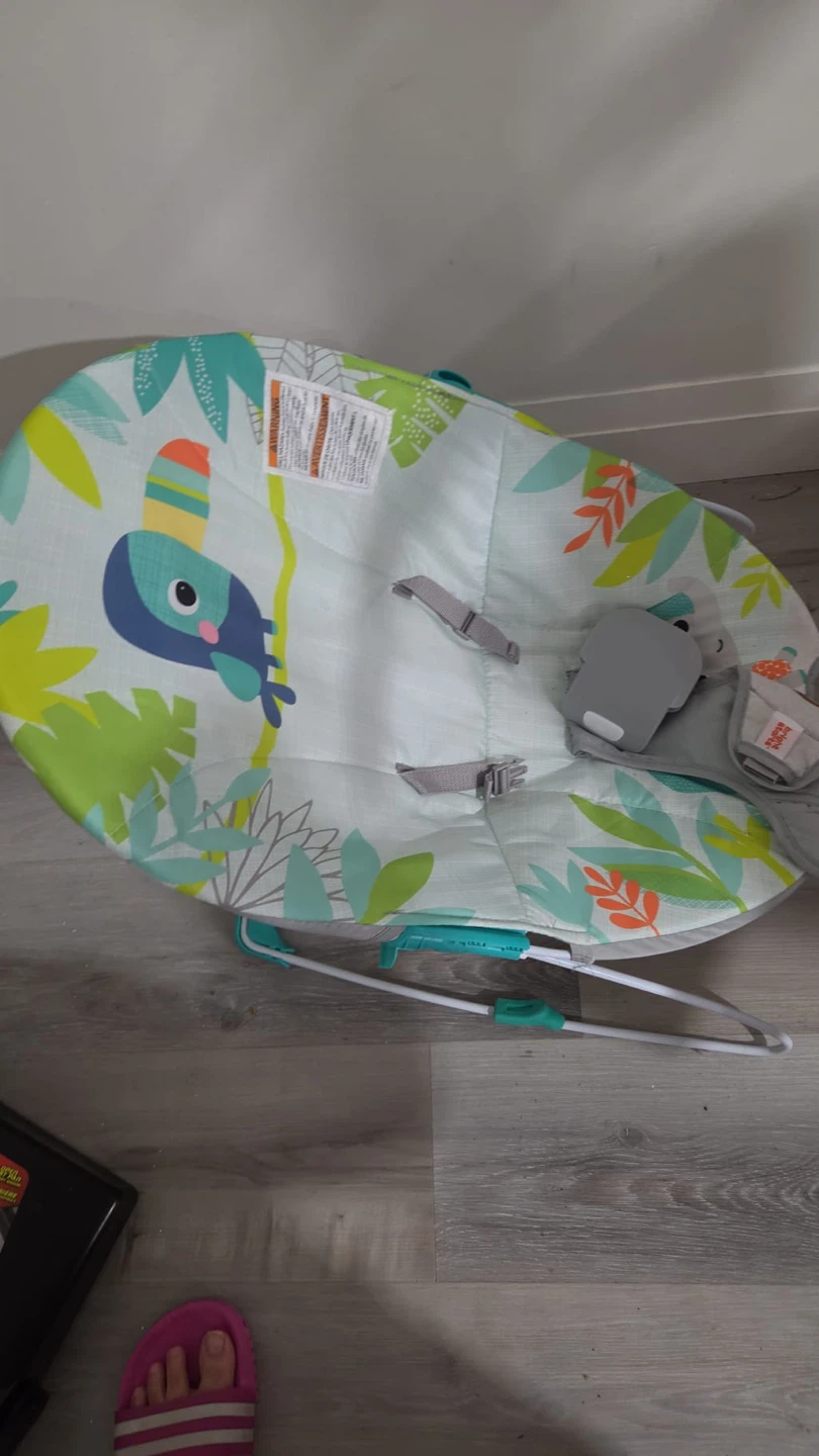 Bright Starts Baby Bouncer - photo 2