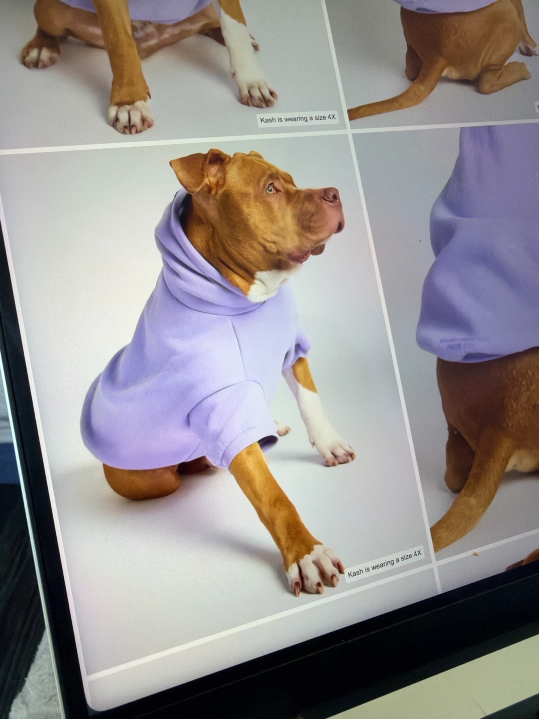 Dog Hoodie Lavender - photo 2