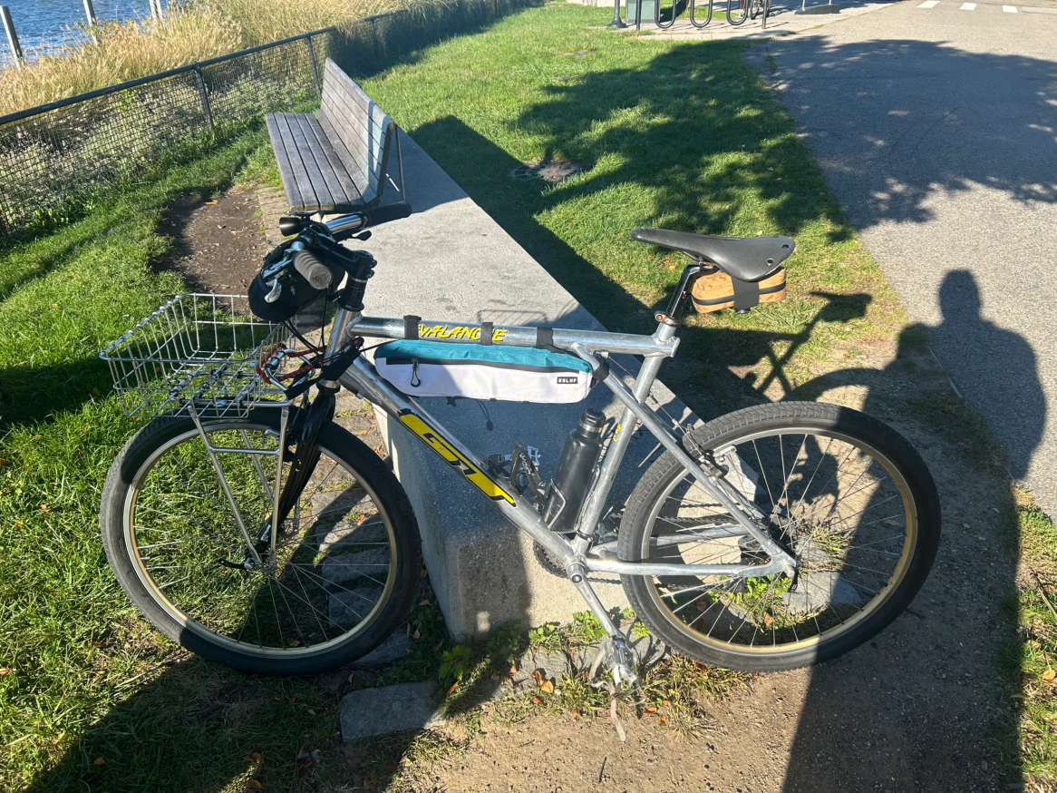 Vintage GT Avalanche Mountain Bike