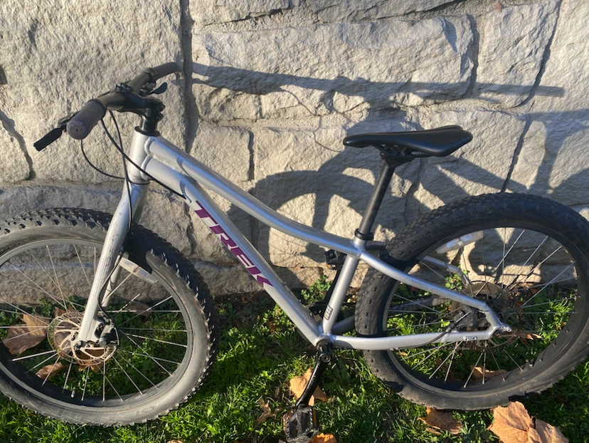 Trek Roscoe Kids Mountain Bike