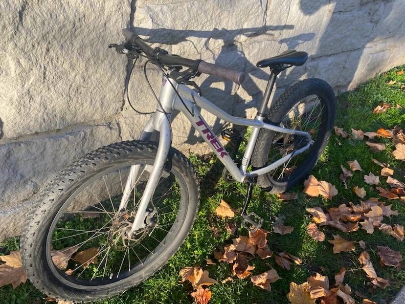 Trek Roscoe Kids Mountain Bike - photo 2