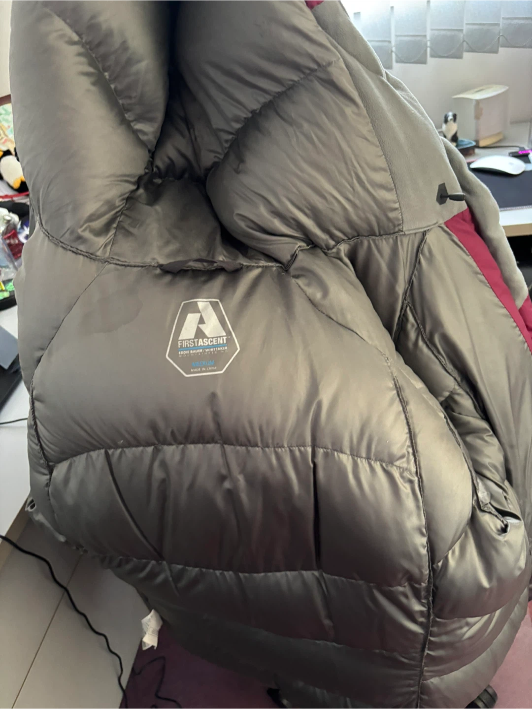 First Ascent Eddie Bauer Down Jacket Medium - photo 5