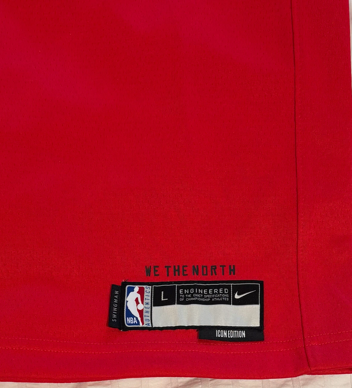 Nike Toronto Raptors VanVleet Jersey Youth L - photo 3